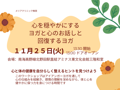 アイアンガーヨガ　優しいヨが哲学